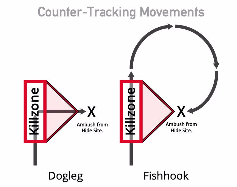 counter_tracking_movements.avif